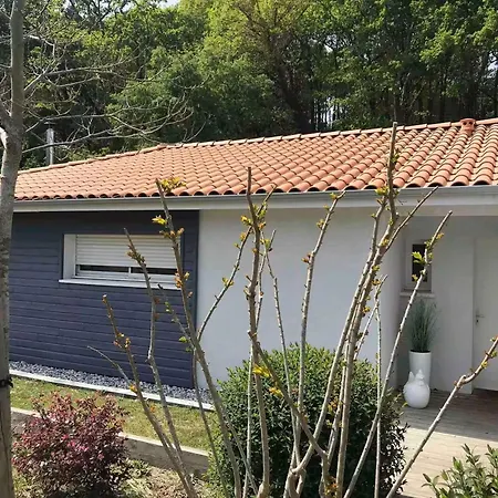 Villa Proche Avec Piscine Chauffee - Fr-1-831-20 Biscarrosse